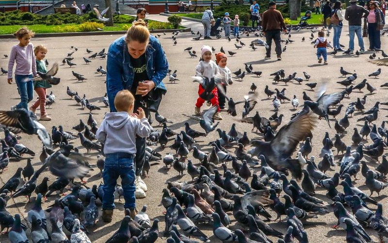 Алматы готовится отметить 9 Мая: концерты, парады и военная техника Алматы готовится отметить 9 Мая: концерты, парады и военная техника