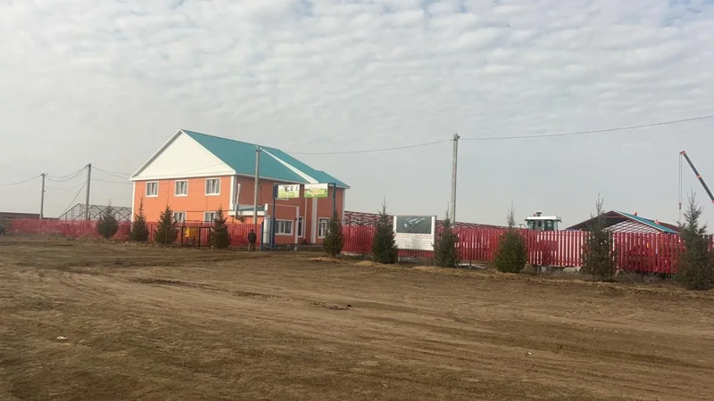 В Западно-Казахстанской области растёт производство молока