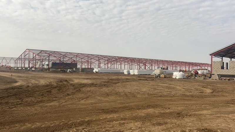 В Западно-Казахстанской области растёт производство молока В Западно-Казахстанской области растёт производство молока