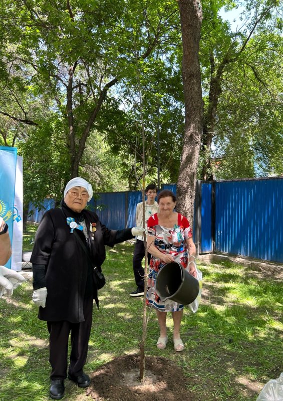 К 80-летию Победы в Алматы открылись 8 аллей ветеранов Великой отечественной войны К 80-летию Победы в Алматы открылись 8 аллей ветеранов Великой отечественной войны