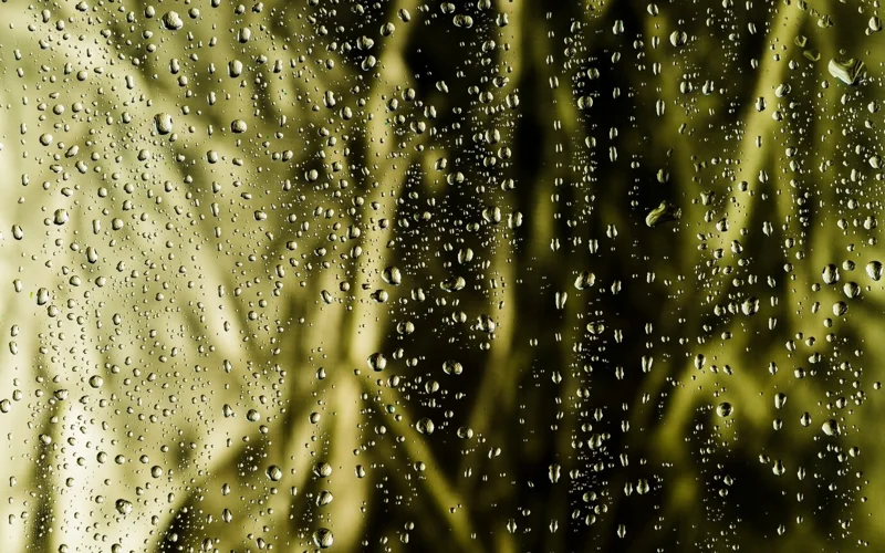 дождь дожди 