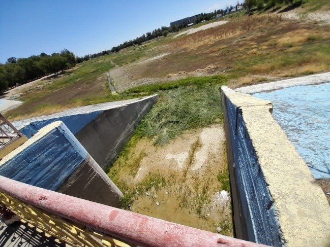 Школьница из Тараза придумала способ спасения водоемов от зловонных водорослей Школьница из Тараза придумала способ спасения водоемов от зловонных водорослей