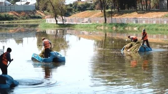 Школьница из Тараза придумала способ спасения водоемов от зловонных водорослей Школьница из Тараза придумала способ спасения водоемов от зловонных водорослей