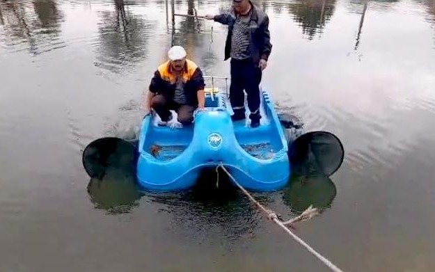 Школьница из Тараза придумала способ спасения водоемов от зловонных водорослей Школьница из Тараза придумала способ спасения водоемов от зловонных водорослей