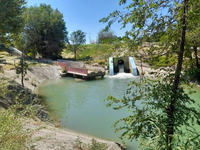 Школьница из Тараза придумала способ спасения водоемов от зловонных водорослей Школьница из Тараза придумала способ спасения водоемов от зловонных водорослей