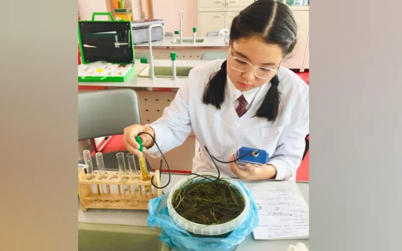 Школьница из Тараза придумала способ спасения водоемов от зловонных водорослей