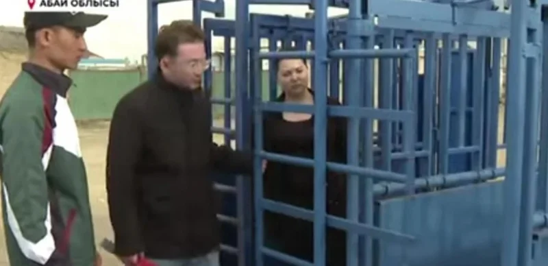 мал дәрігері