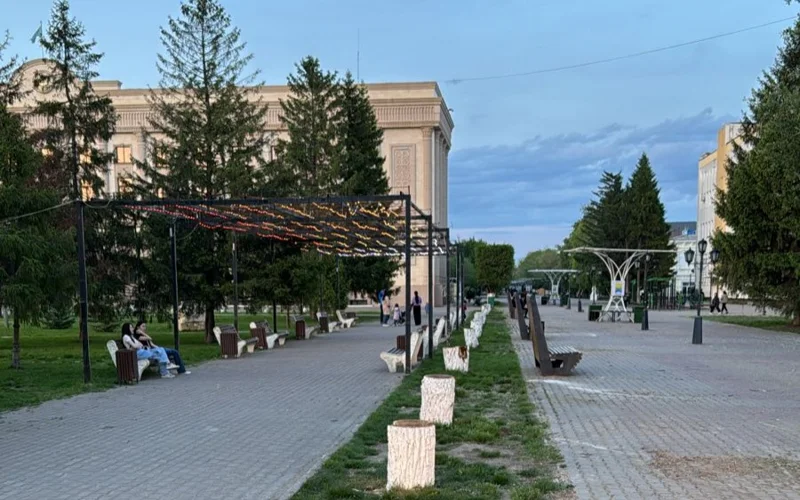 вырубка деревьев в  Уральске