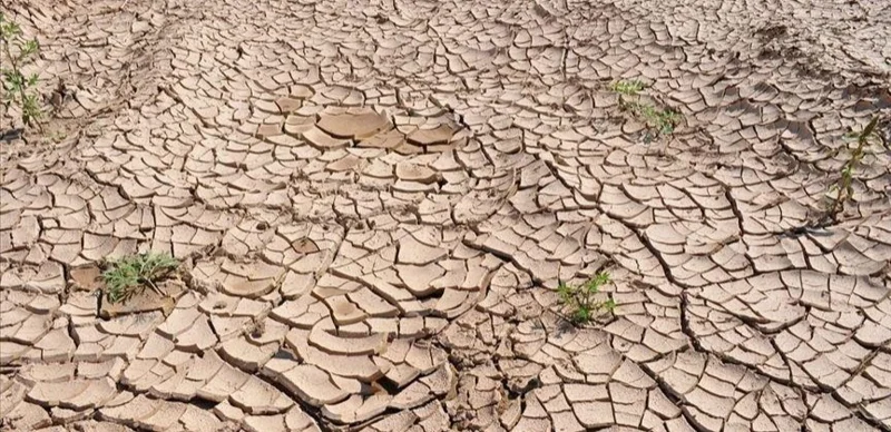 BUU: 2050 jyly taǵy 80 mln adam ashtyqtan zardap shegedi