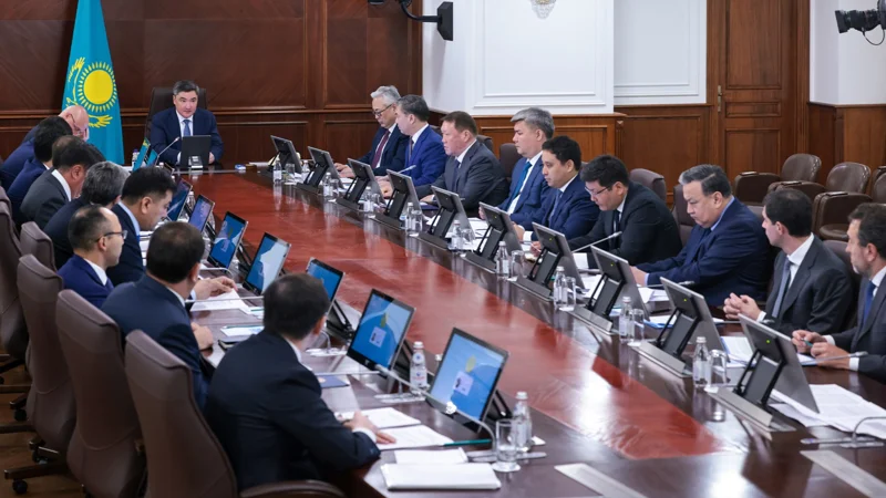 Рассчитываем на мощный мультипликативный эффект — Олжас Бектенов о крупных промышленных проектах