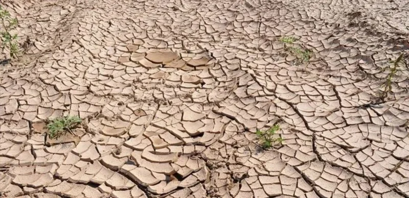 қурғоқчилик