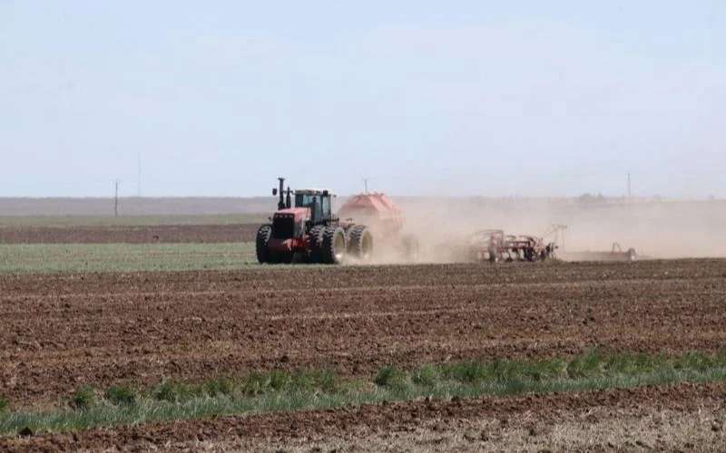 посевная, сельское хозяйство