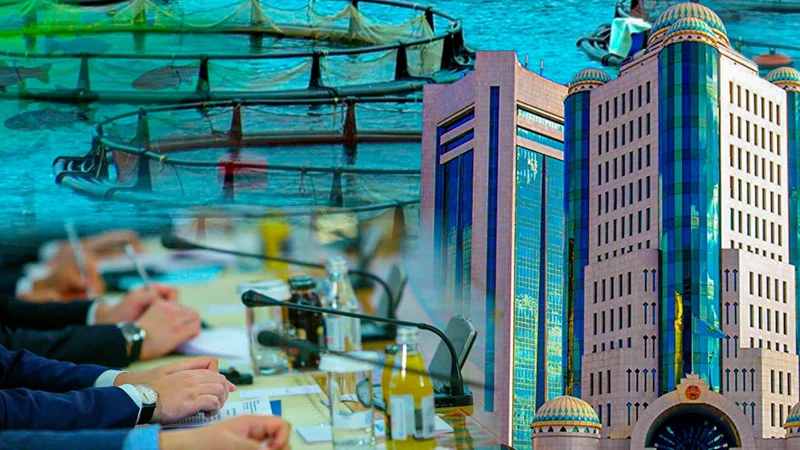 аквашаруашылық