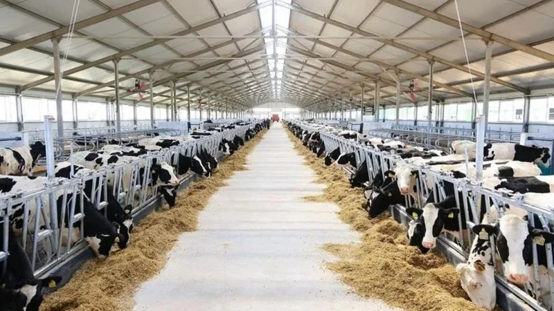 В Карагандинской области открыли современную молочно-товарную ферму