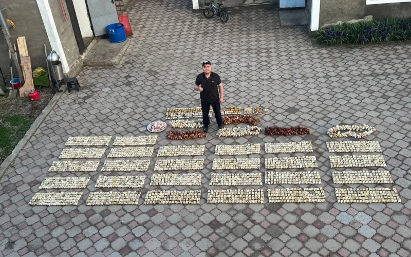 Aktobe native enters Kazakhstan’s Book of Records for largest collection of cow ankle bones