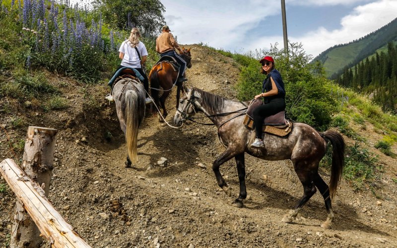 Kólsaı a