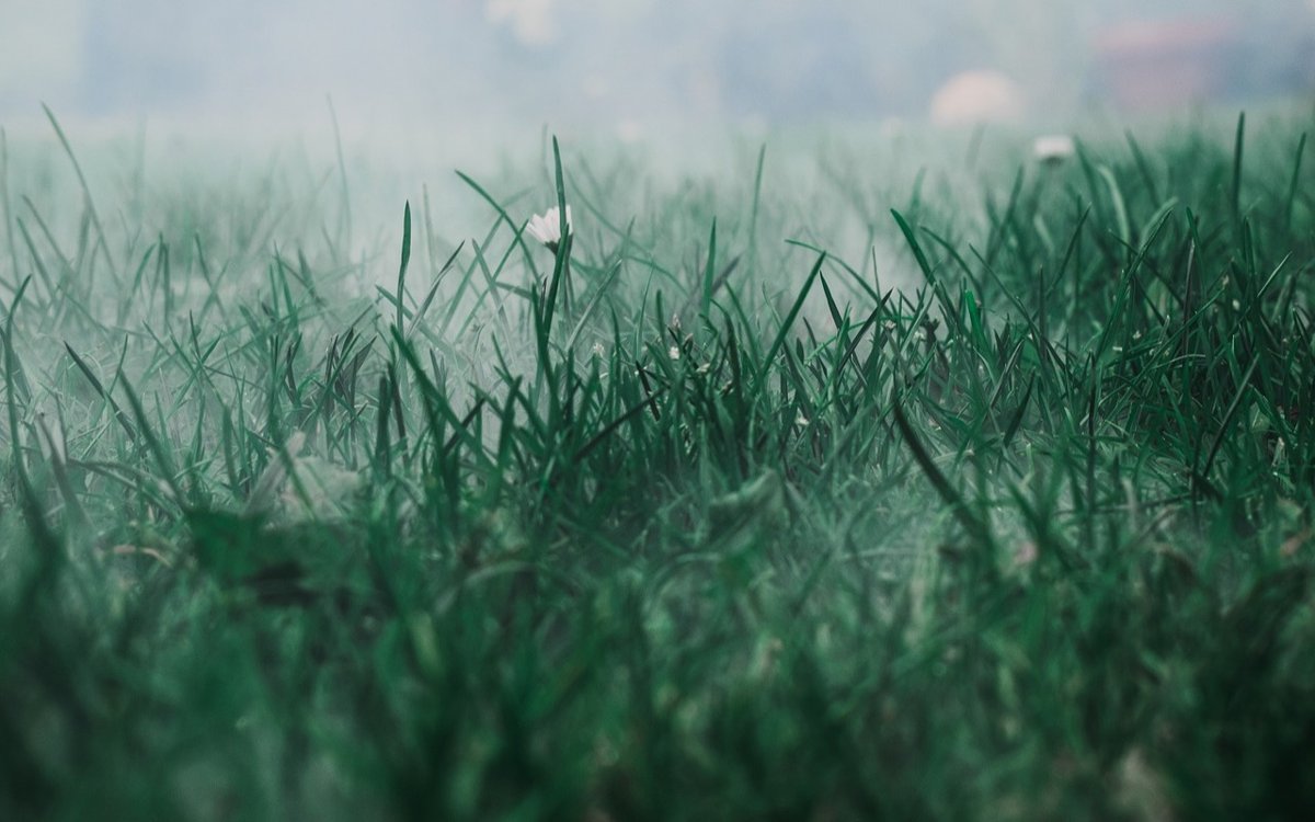 Өрт қаупі мен тұман: Қазақстанда күн райына байланысты ескерту жарияланды