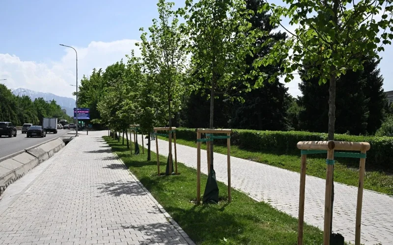 Over 1 mln trees planted in Almaty over 2 years