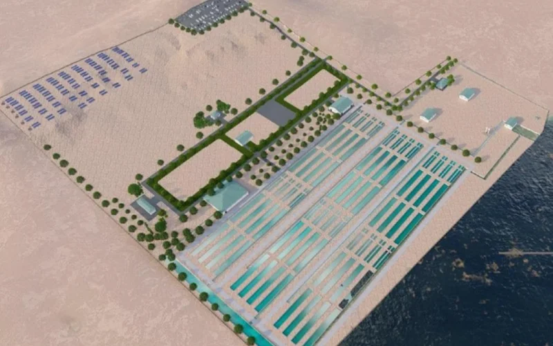 В Мангистауской области начнут производить икру