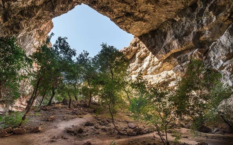 cave cave