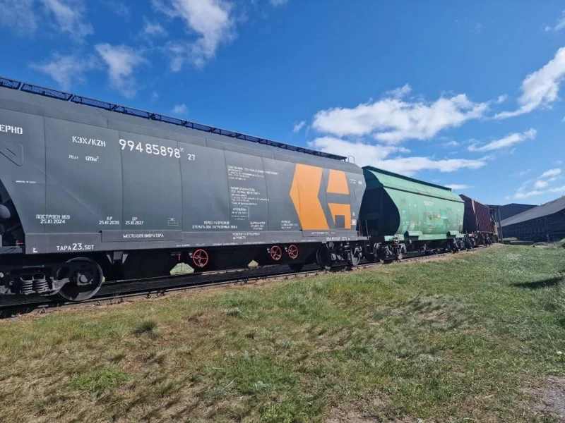 экспорт зерновых