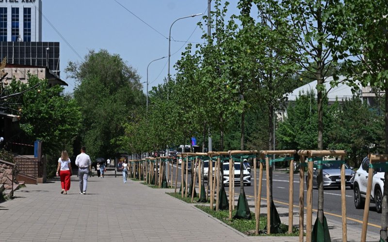 Almatyda sońǵy eki jylda 1 mln-nan astam aǵash otyrǵyzyldy Almatyda sońǵy eki jylda 1 mln-nan astam aǵash otyrǵyzyldy