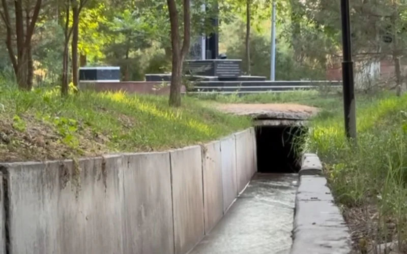 арыки Шымкента