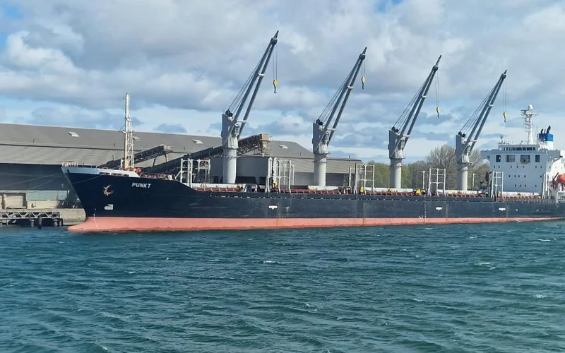 экспорт зерновых