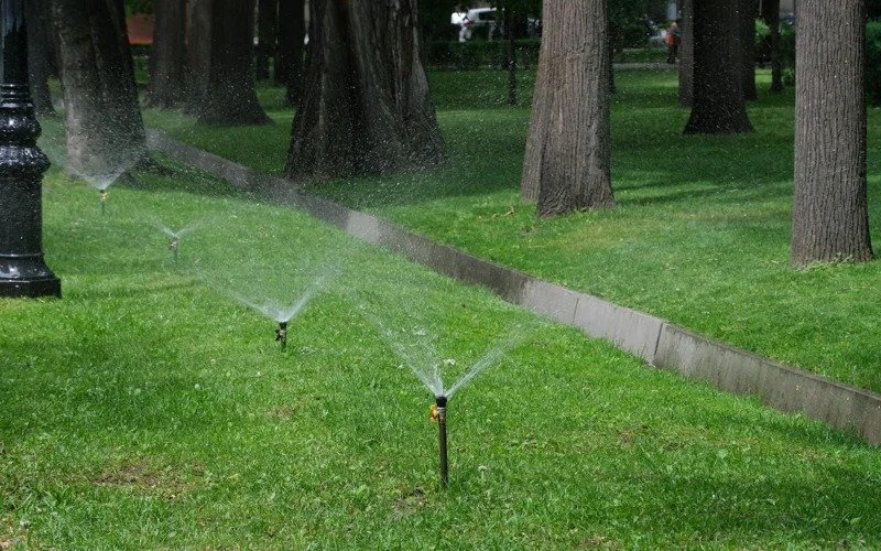 Over 1 mln trees planted in Almaty over 2 years Over 1 mln trees planted in Almaty over 2 years