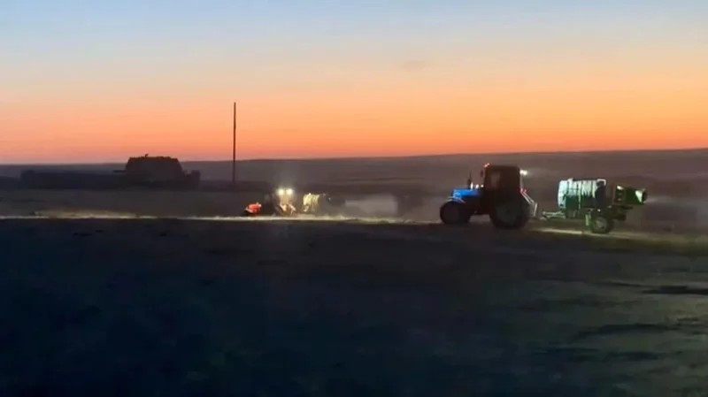 обработка против саранчи