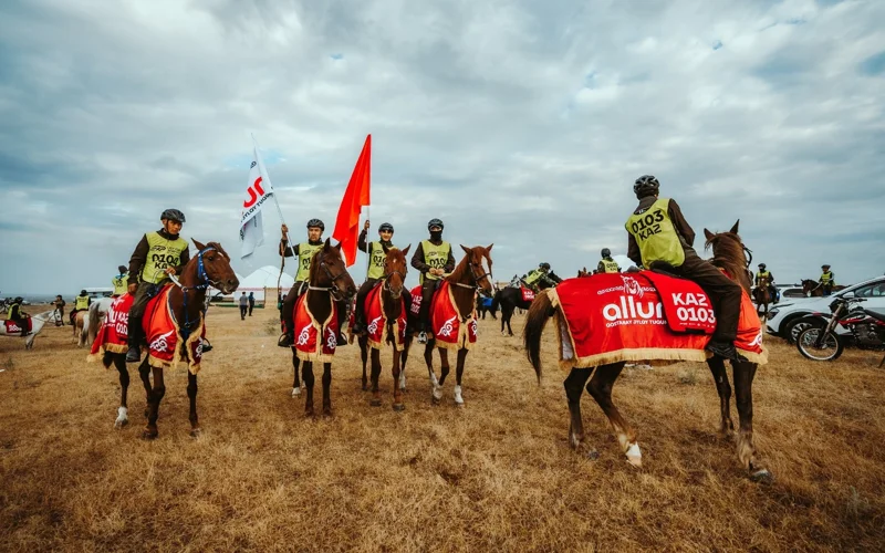 Қостанай тұқымды жылқылар