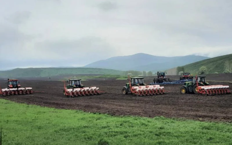 Свыше 5,2 млн га сельхозугодий засеяли в Казахстане