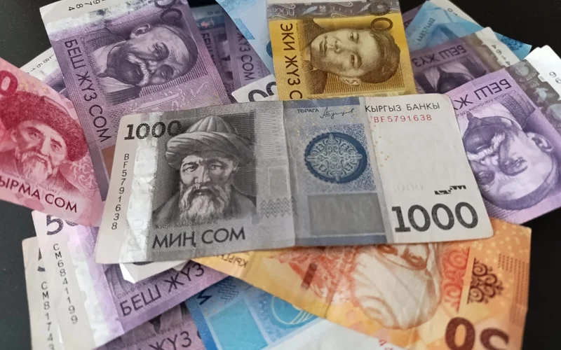 В Кыргызстане все расчеты будут проводиться в сомах