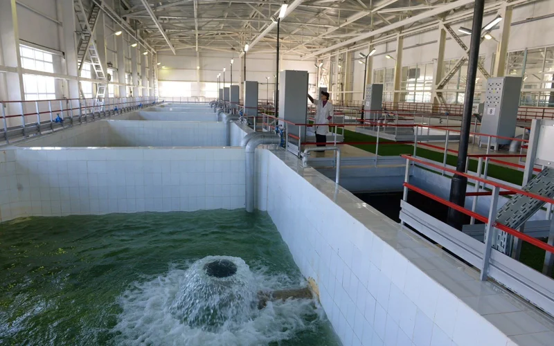 В Алматы построят водозабор «Ерменсай» для решения многолетней проблемы