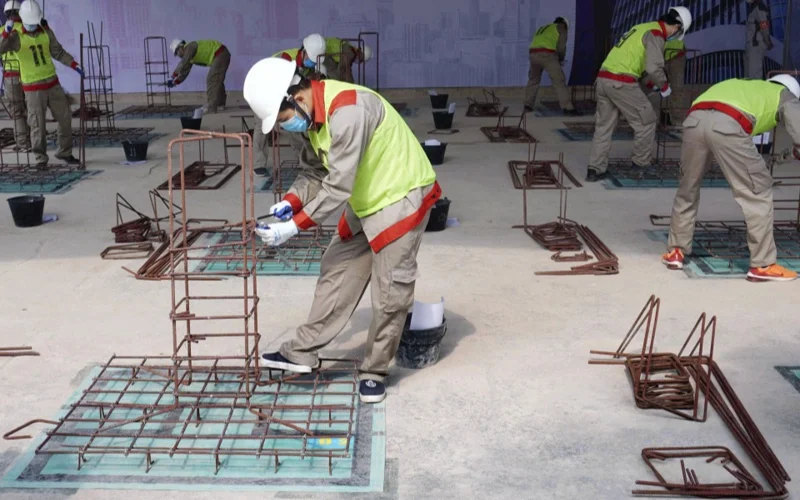 Japan mulls expanding industries eligible for foreign skilled workers