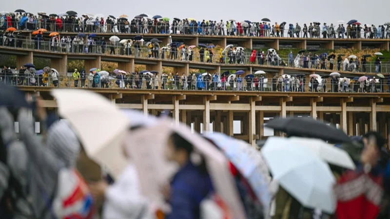 Japan weather agency looks to improve forecasting with AI