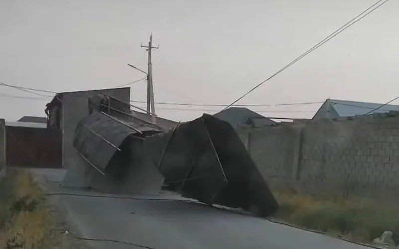 Түркістан облысында күшті жел электр желілерін зақымдап, ағаштарды құлатты Түркістан облысында күшті жел электр желілерін зақымдап, ағаштарды құлатты