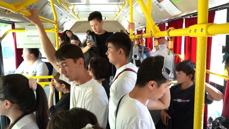 автобус, проездные, карты