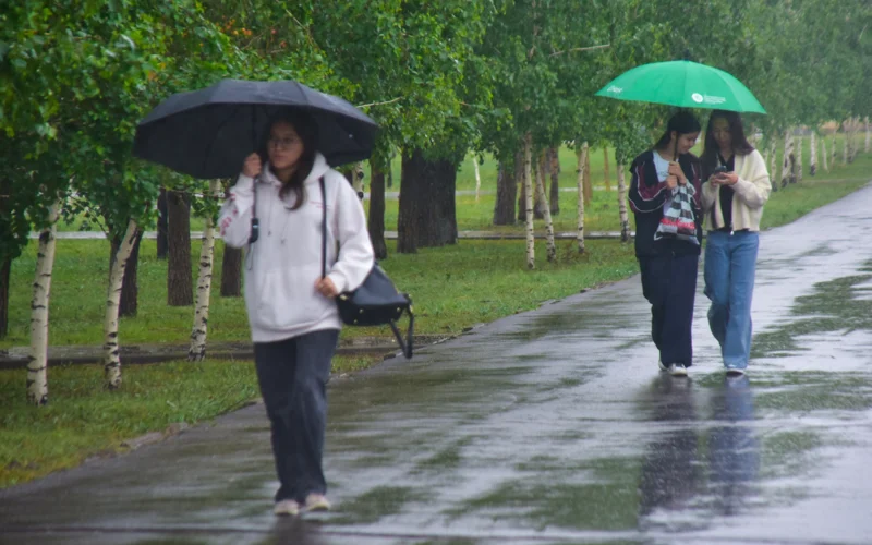 дождь, ливень, лужа, погода, ауа райы, жанбыр