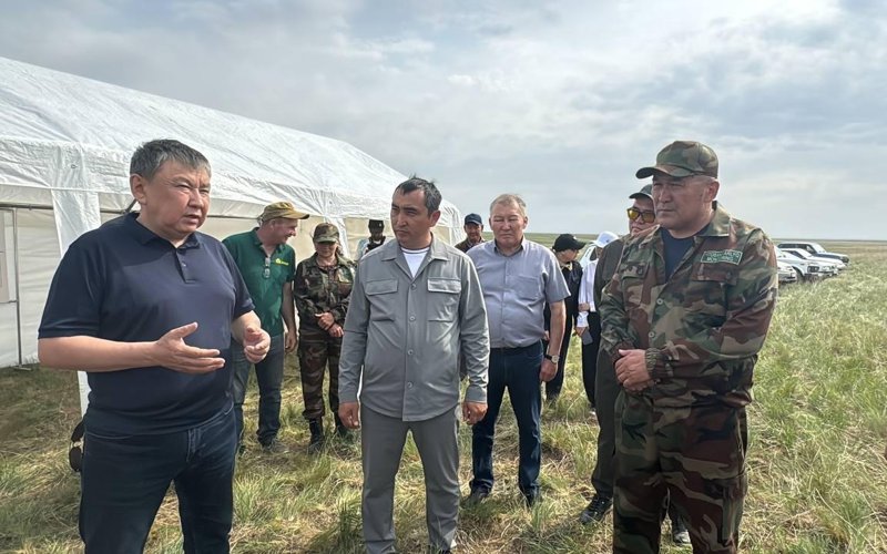 Химическую обработку сельхозугодий от саранчи проводят в Акмолинской области Химическую обработку сельхозугодий от саранчи проводят в Акмолинской области
