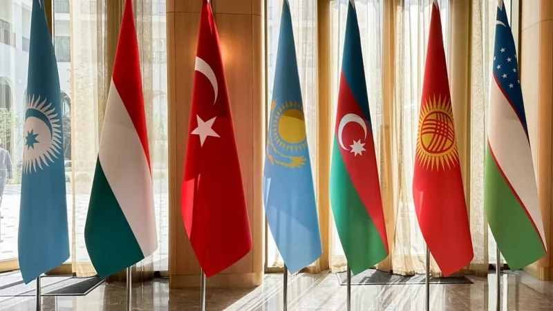 Túrki memleketteri uıymynyń (TMU)