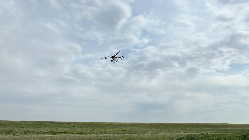 Химическую обработку сельхозугодий от саранчи проводят в Акмолинской области Химическую обработку сельхозугодий от саранчи проводят в Акмолинской области