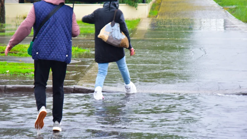 дождь, жанбыр, погода, ауа райы, ливень, лужи