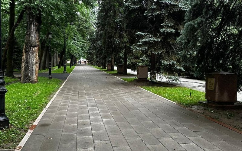 Алматының 28 панфиловшы саябағында қаңғыбас иттер қаптап жүр Алматының 28 панфиловшы саябағында қаңғыбас иттер қаптап жүр