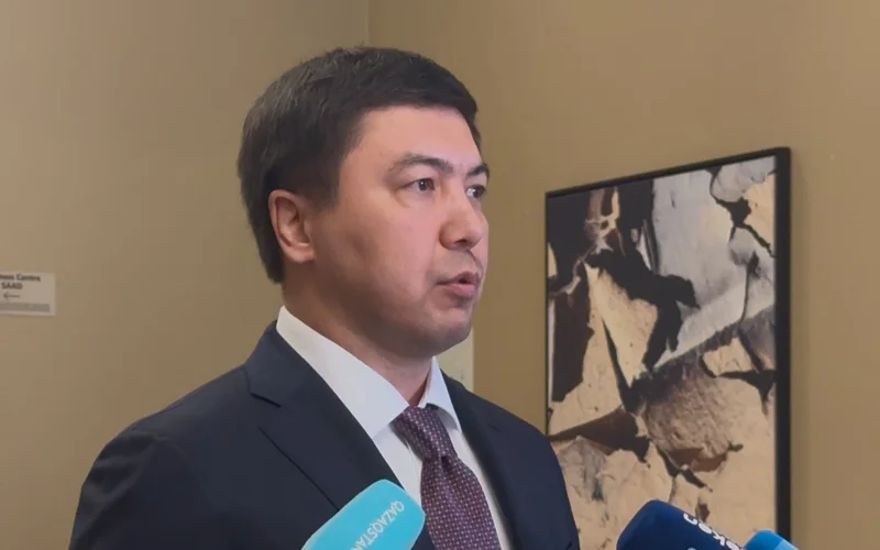 На какой стадии создание консорциума для строительства АЭС в Казахстане