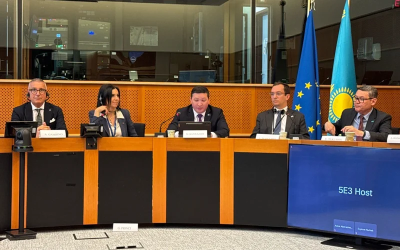 В Европарламенте обсудили укрепление связей с Казахстаном в образовании