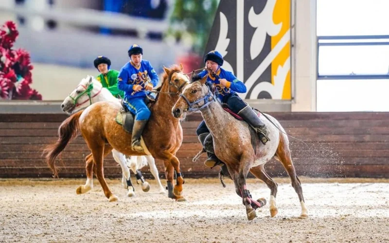 конный спорт