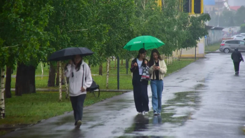 Cold snap to hit N Kazakhstan on May 22-24