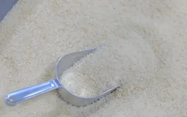 Kazakh scientists develop two new high-yield rice varieties