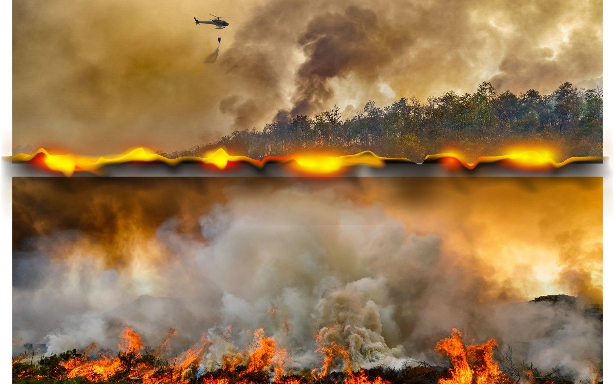 Copernicus report: Wildfires drop in Southeast Asia, but surges in UK ...